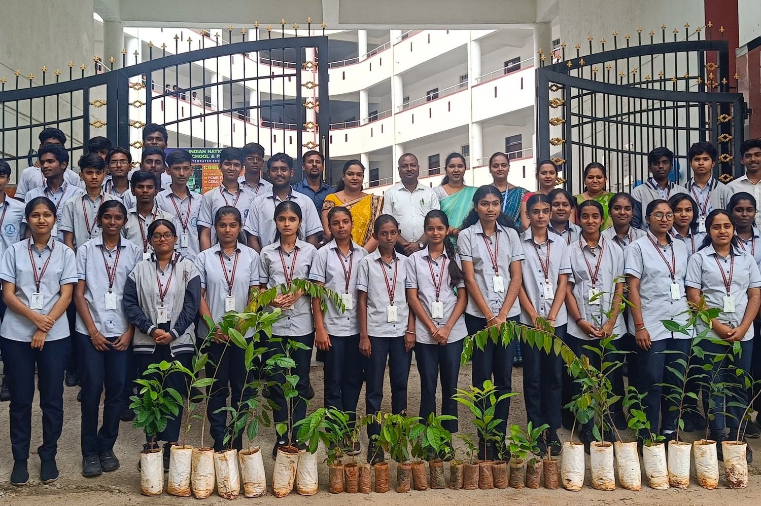 Environmental Day