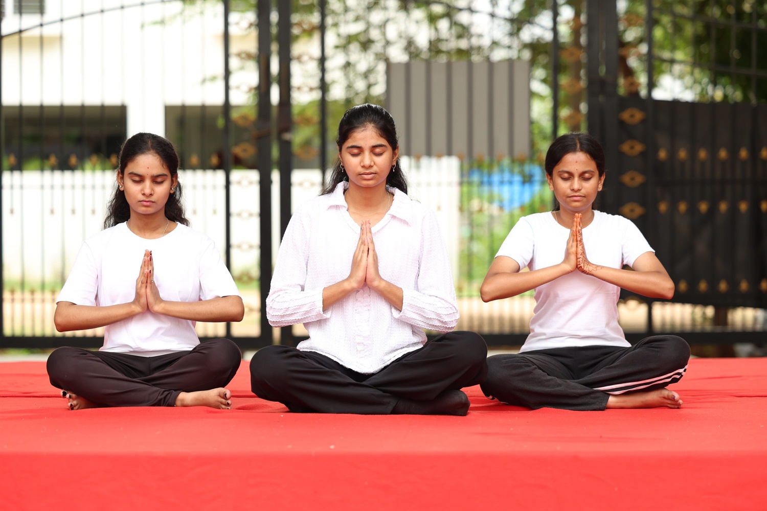 Yoga Day